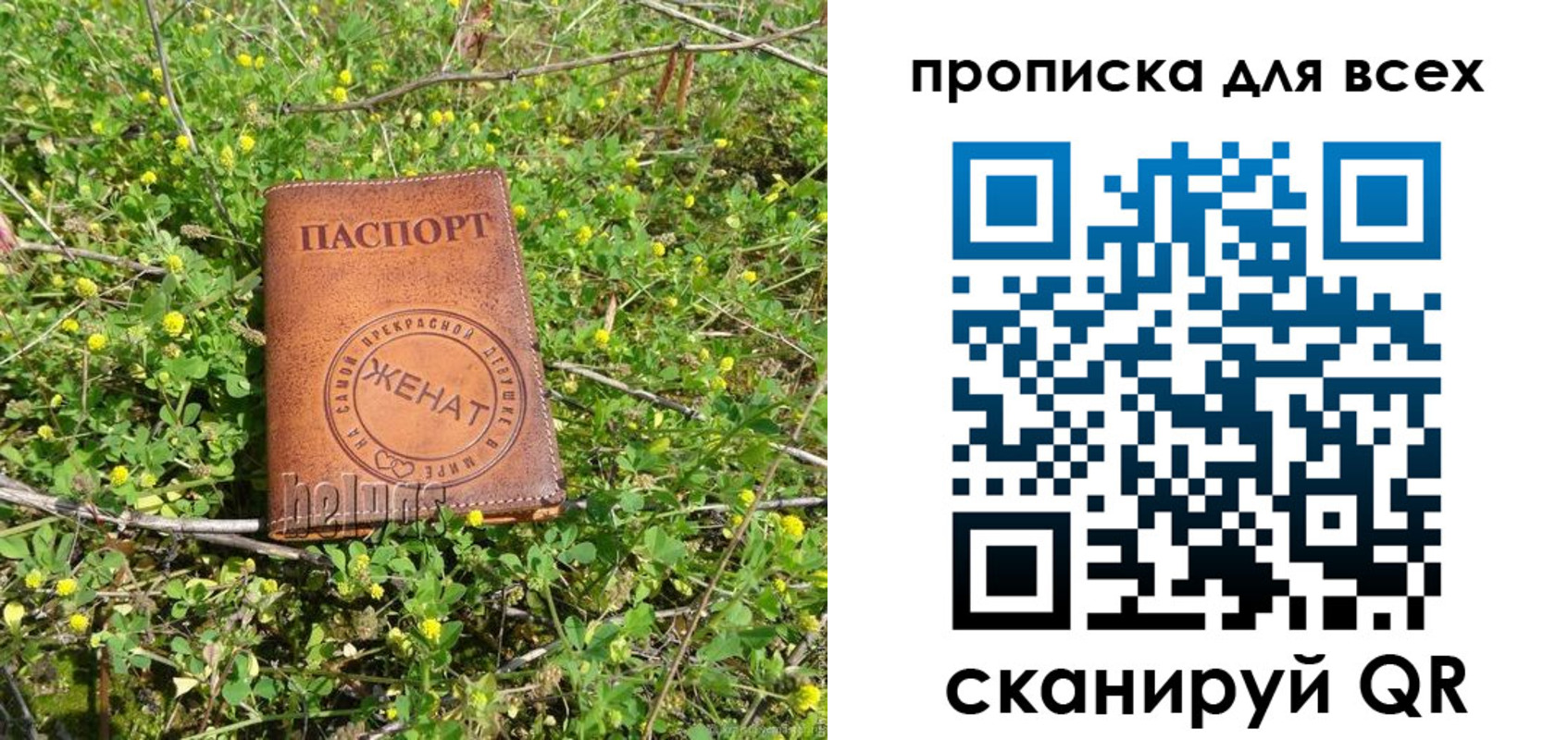 прописка поиск в Кулебаки